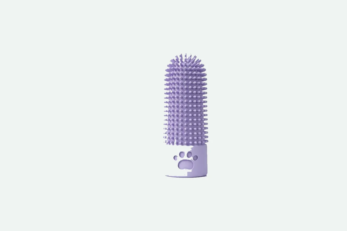 Dog Gums Bleed When Brushing Teeth: What to Do