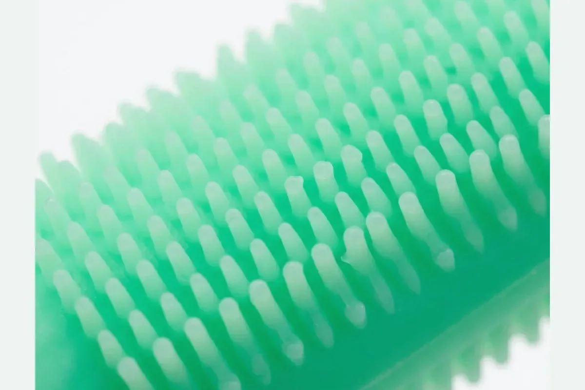 How to Brush Your Cat’s Teeth in Short, Gentle Steps