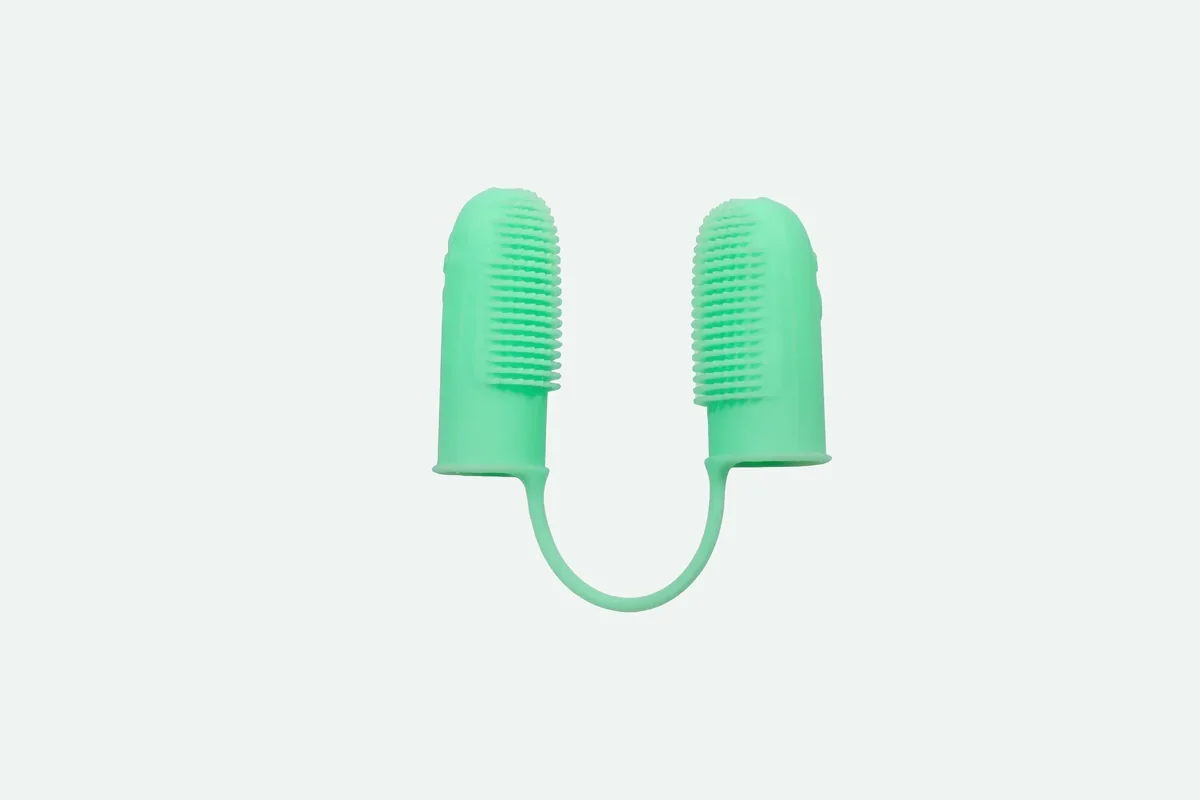 How to Get a Cat Used to Teeth Brushing