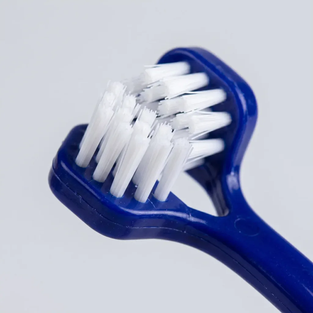 Double-Head Dog Toothbrush with Two Brush Sizes product detail