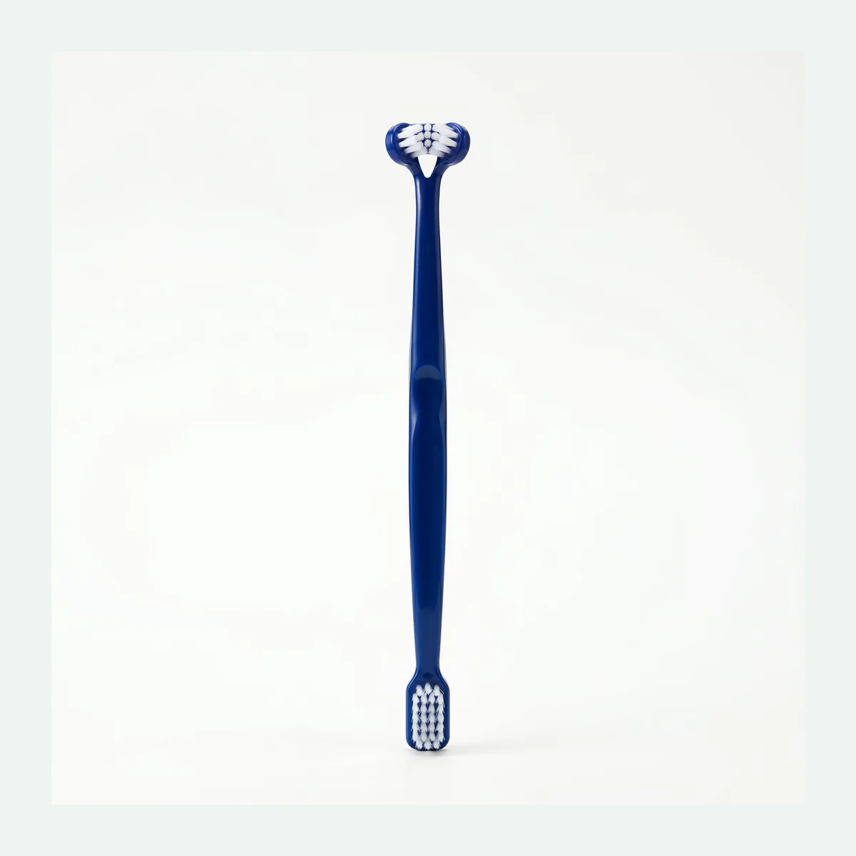 Double-Head Dog Toothbrush with Two Brush Sizes