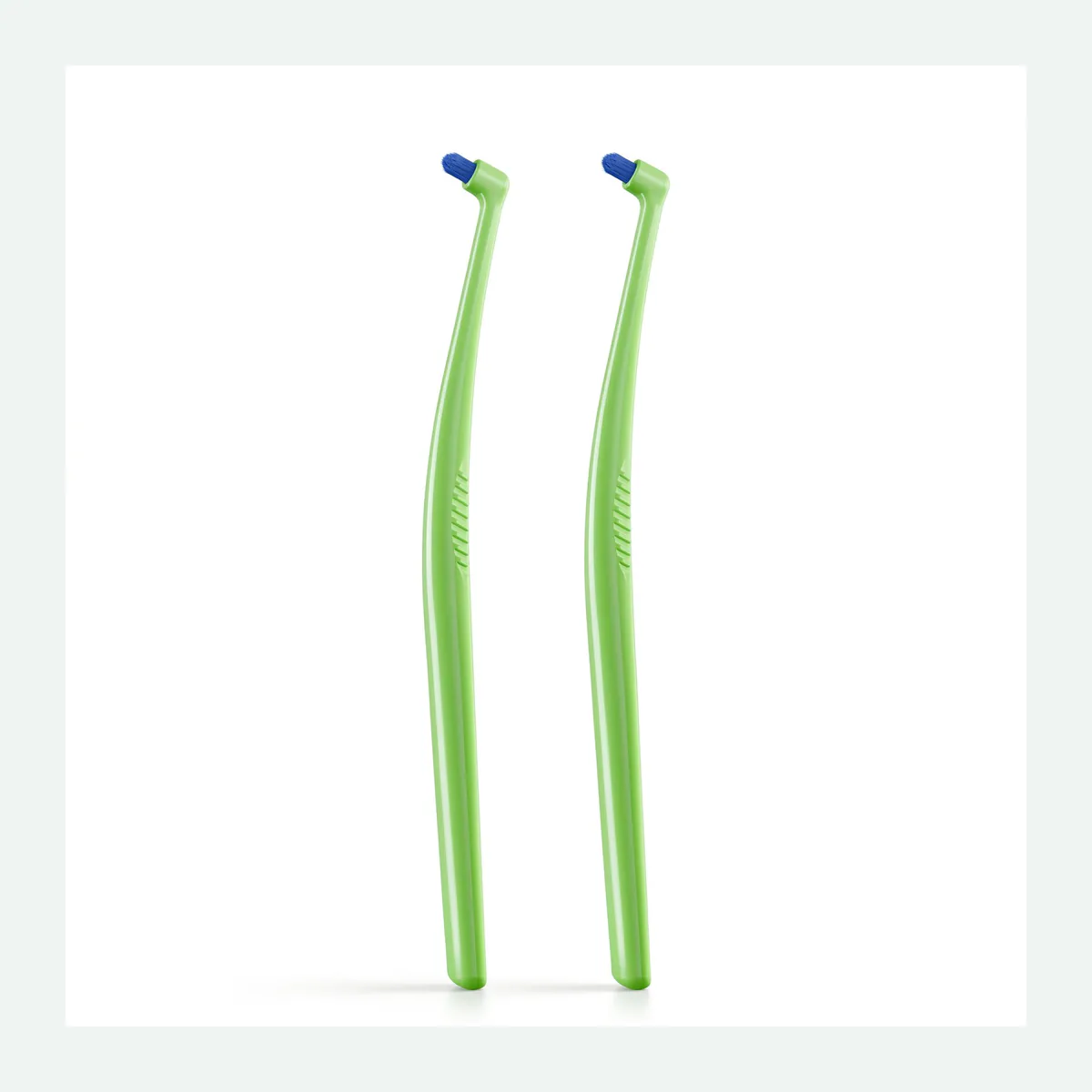Angled Single-Tuft Toothbrush for Small Dogs and Puppies