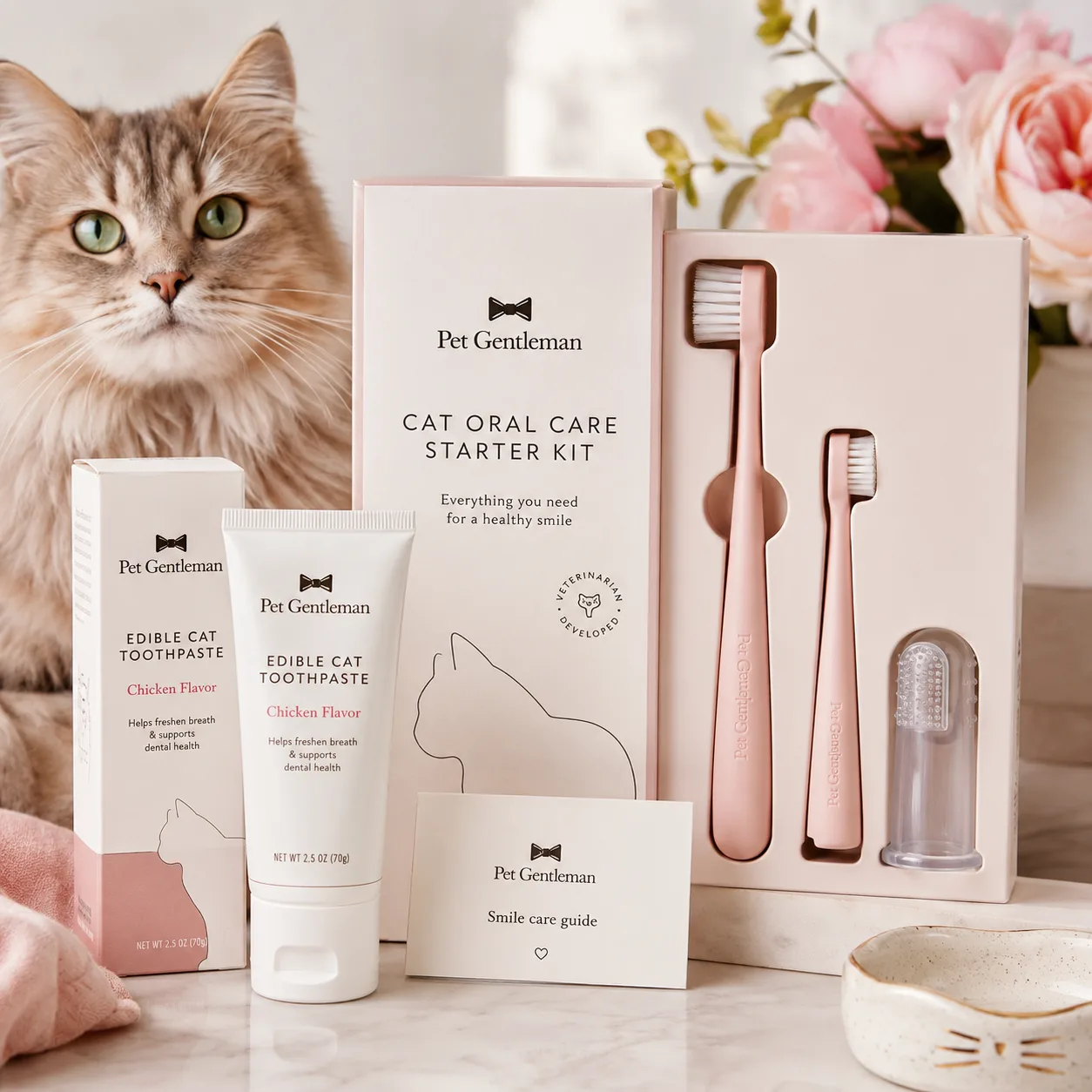 Cat Starter Kit